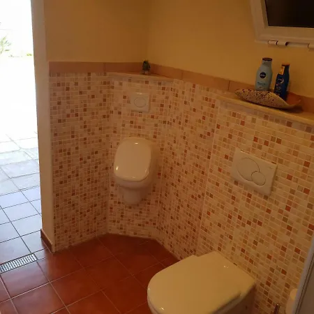Willa Strelitzia *